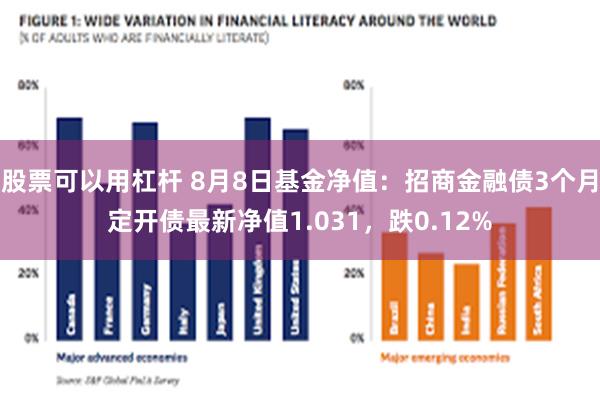 股票可以用杠杆 8月8日基金净值：招商金融债3个月定开债最新净值1.031，跌0.12%