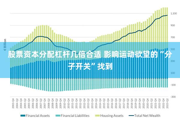 股票资本分配杠杆几倍合适 影响运动欲望的“分子开关”找到