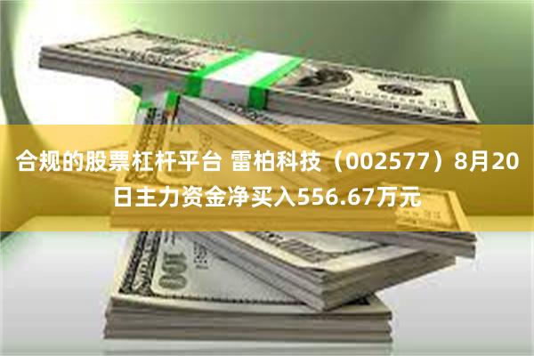 合规的股票杠杆平台 雷柏科技（002577）8月20日主力资金净买入556.67万元