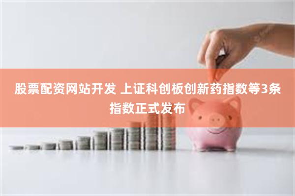 股票配资网站开发 上证科创板创新药指数等3条指数正式发布