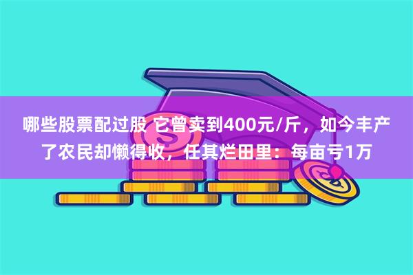 哪些股票配过股 它曾卖到400元/斤，如今丰产了农民却懒得收，任其烂田里：每亩亏1万