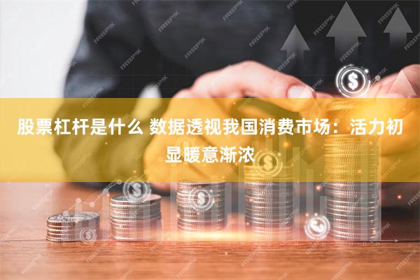 股票杠杆是什么 数据透视我国消费市场：活力初显暖意渐浓