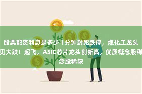 股票配资利息是多少 1分钟封死跌停，煤化工龙头罕见大跌！起飞，ASIC芯片龙头创新高，优质概念股稀缺
