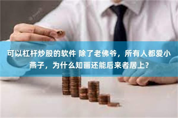 可以杠杆炒股的软件 除了老佛爷，所有人都爱小燕子，为什么知画还能后来者居上？