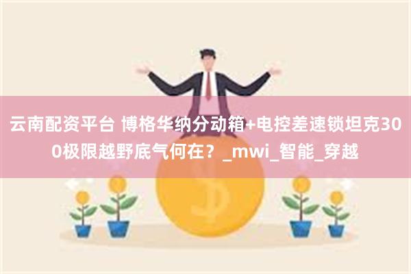 云南配资平台 博格华纳分动箱+电控差速锁坦克300极限越野底气何在？_mwi_智能_穿越