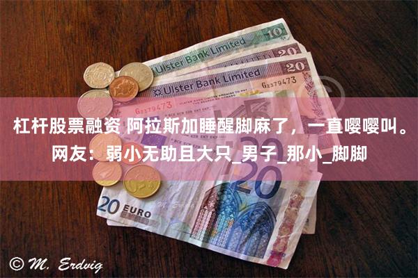 杠杆股票融资 阿拉斯加睡醒脚麻了，一直嘤嘤叫。网友：弱小无助且大只_男子_那小_脚脚