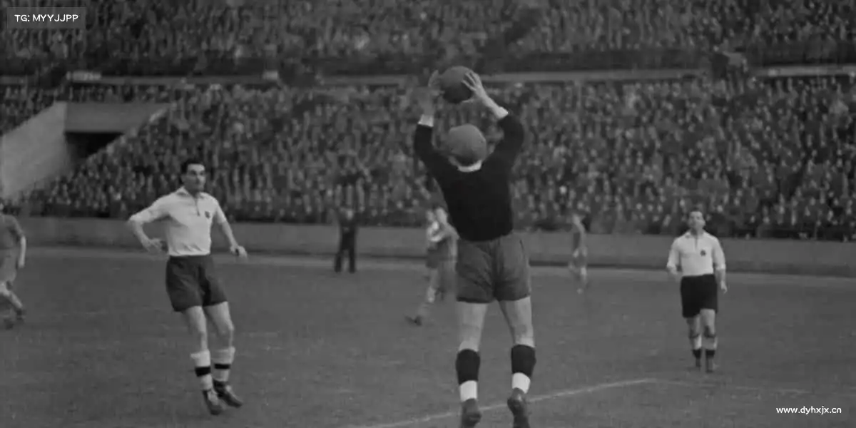 <strong>992kp快乐看片永久免费网址入口</strong>用镜头传递温度，让故事打破边界，触达更多人的灵魂🚀